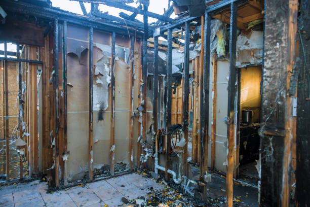 Professional Smoke Odor Removal technician working in Vashon, WA